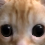 @kindintheworld457