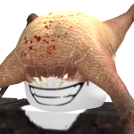 @angry_camper