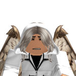 @roblox_user_3381542441