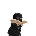 @thepunisher1009