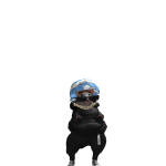 @KwikNinja123