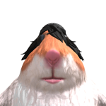 @bearsieboy