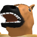 @jackalaack