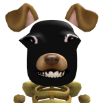 @d1llyp1ckles