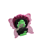 arii