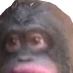 @cintiqasuarurs2