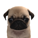@xRmoeanx