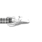 @Ianpretpark