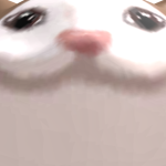 @xxenobloxxxx