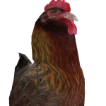 MrChicken