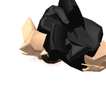 @legokid0011