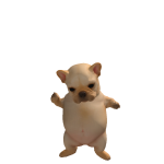 @doopypie16