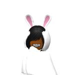 @bunnixears