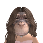 @vvaampp