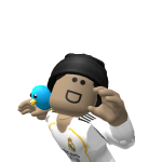 @Blox_FruitsGamer2001