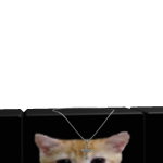 @0VlerDa7t