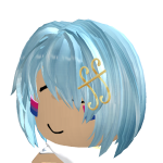 @akariicore