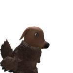 @bearwazy
