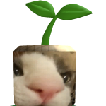 @masterchiff55