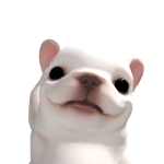 @IP4NDYI