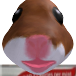@cxrtzzz
