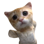 JarritosSupreme