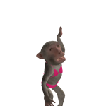 @rorchicken297