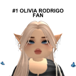 @catcoder33