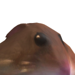@goodygumdrops100