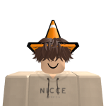 @bert_meyvis208