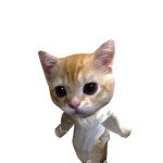 @UnicornCutieGamer17