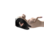 @Unicornalover464737
