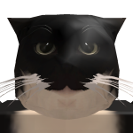 @StarerCat