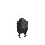 @THEMARTINPLAYZRBLX