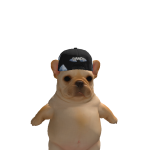 @Haxcyc_LDC