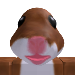 @Roblox_God0325