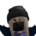 @roblox_user_2339273285