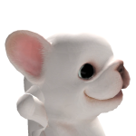 @DUDA_GAMEYTwT