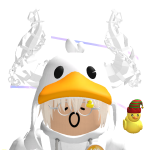 @dnduckk