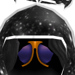 @ElRatto12345