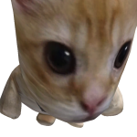 @EvilRob1999