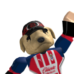 Pollonel