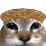 @EpicChrisGamingYT