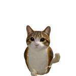 @vibeclqud