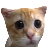@K4tiq