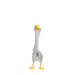 Riki