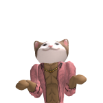 @AsterixCat08