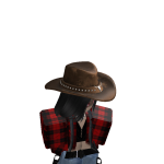 @SkyeMN