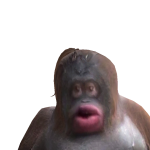 @d0cmcstuffin