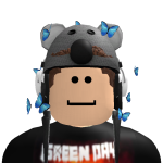 @RaffyRobloxPro504